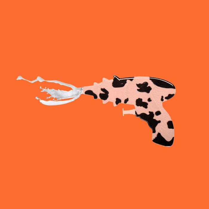 A Cow in the Water - 33RPM