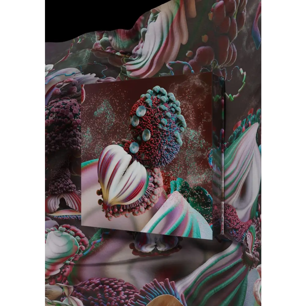 Bjork - Fossora Box - 33RPM