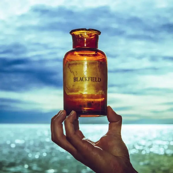 Blackfield - Blackfield - Vinyl