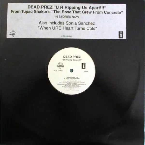 Dead Prez - U R Ripping Us Apart!!! - 33RPM