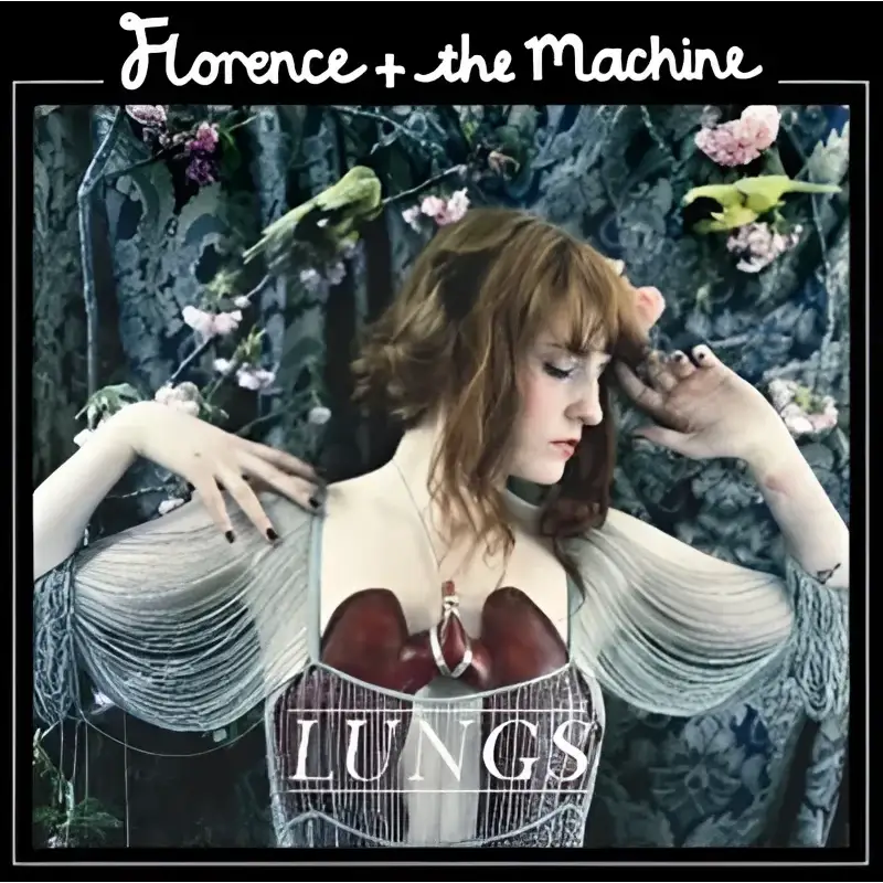 Florence the machine lungs vinyl