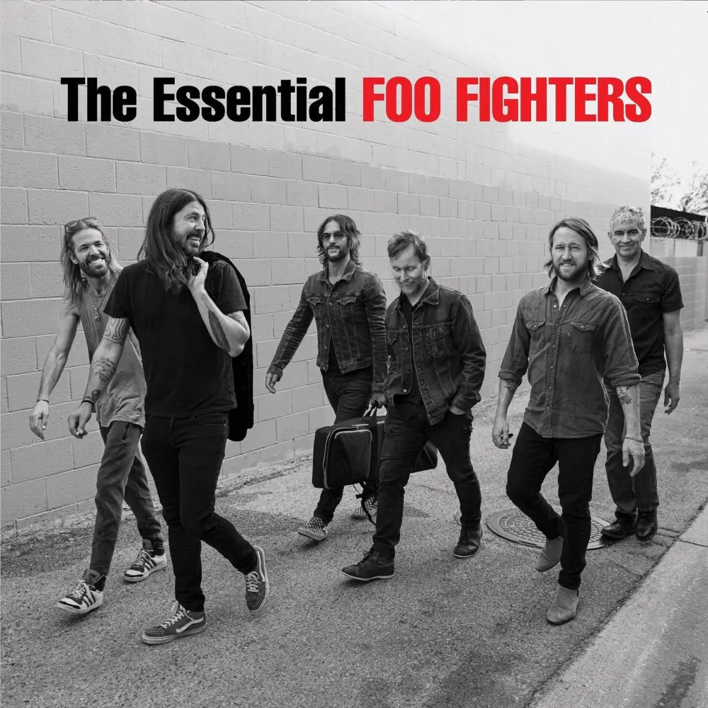 Foo Fighters album cover.