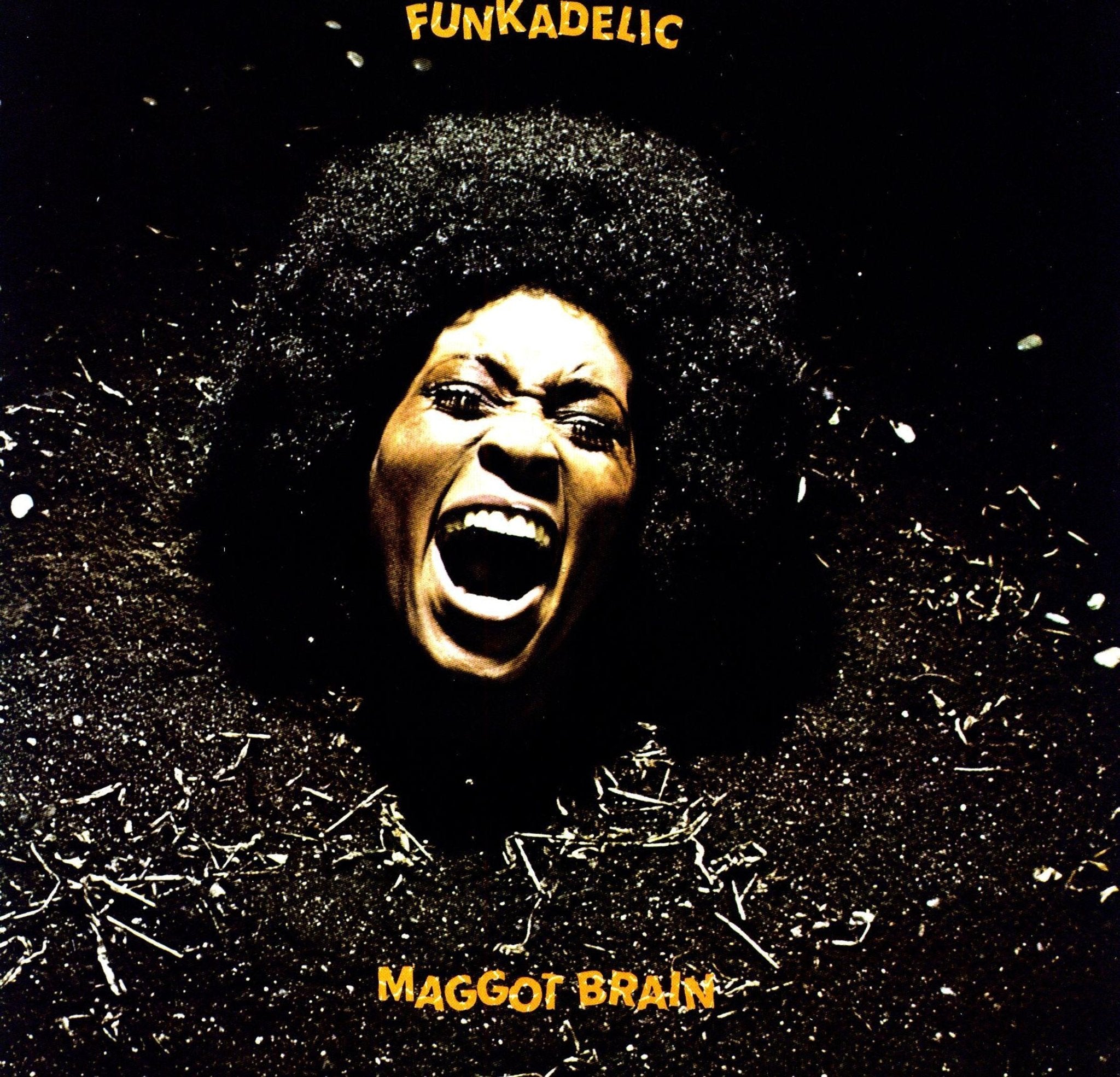 Funkadelic - Maggot Brain - 33RPM