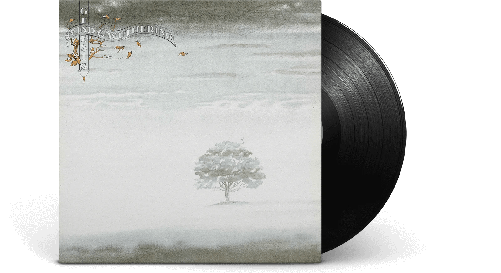 Genesis - Wind & Wuthering - 33RPM