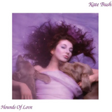 Kate Bush - Hounds of Love Cassette Tape - 33RPM