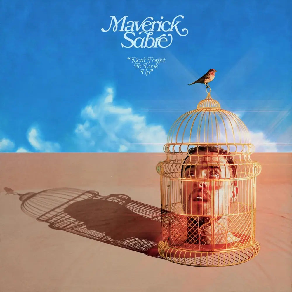 Maverick Sabre - Don’t Forget To Look Up - Vinyl