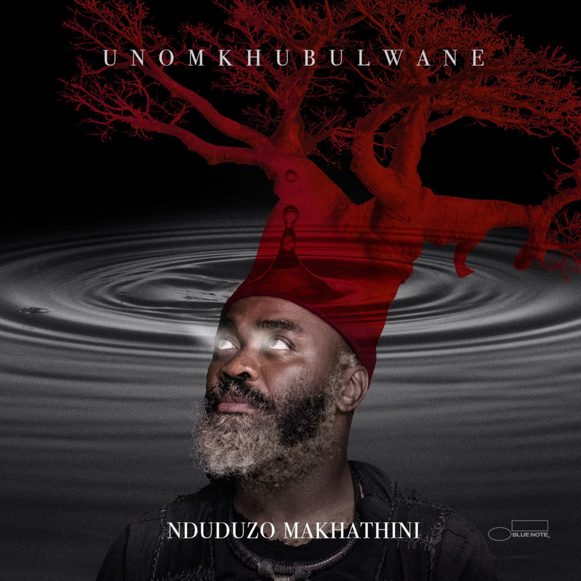 Nduduzo Makhathini - Unomkhubulwane - 33RPM