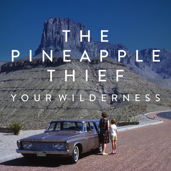 Pineapple Thief - Your Wilderness - 33RPM