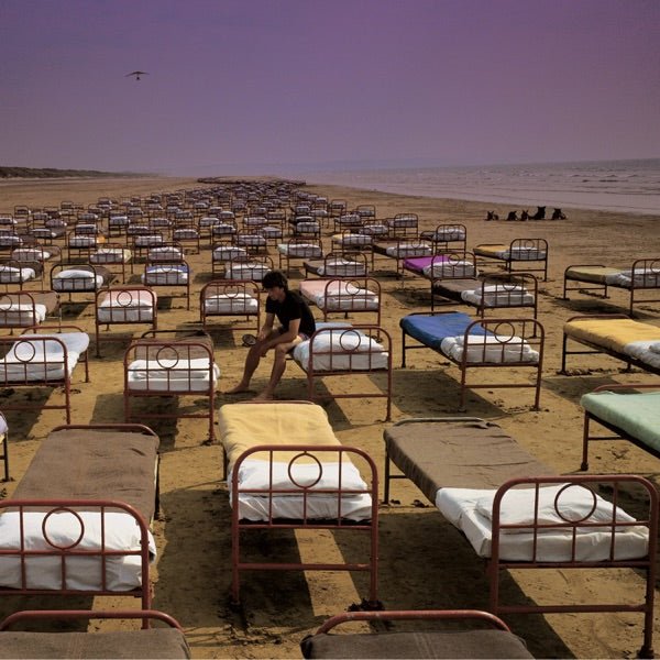 Pink Floyd - A Momentary Lapse Of Reason - 33RPM