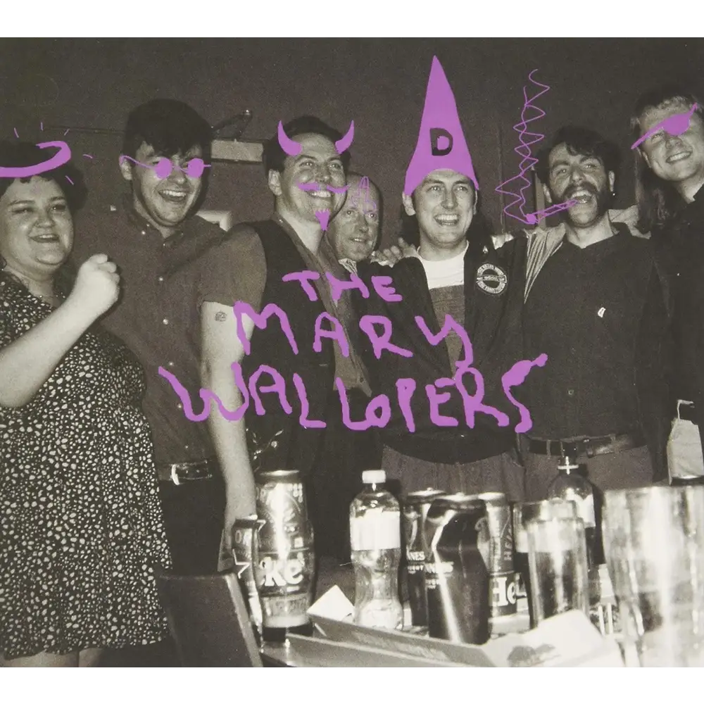 A group of people wearing novelty accessories and costumes at a party.