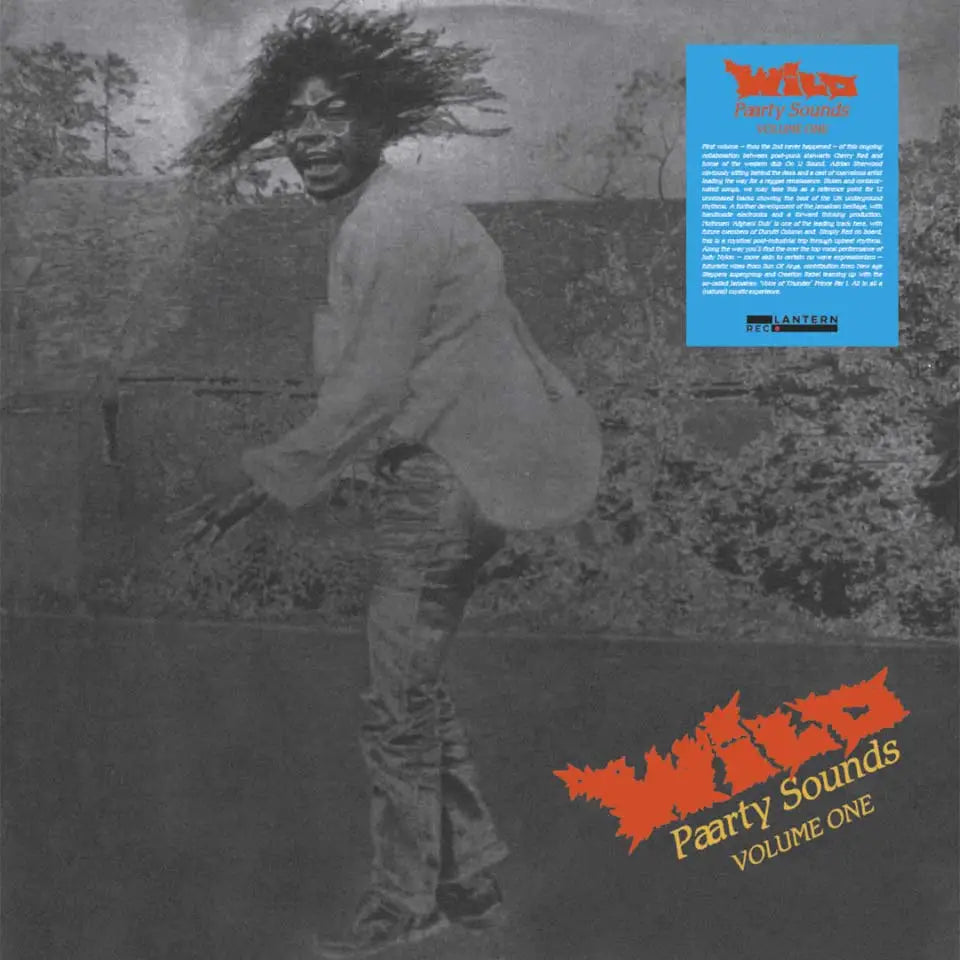 Various - Wild Paarty Sound, Vol. 1 - 33RPM