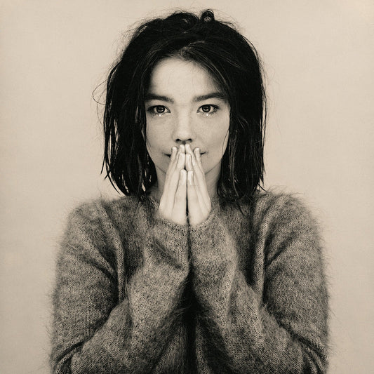 Björk - Debut - 33RPM