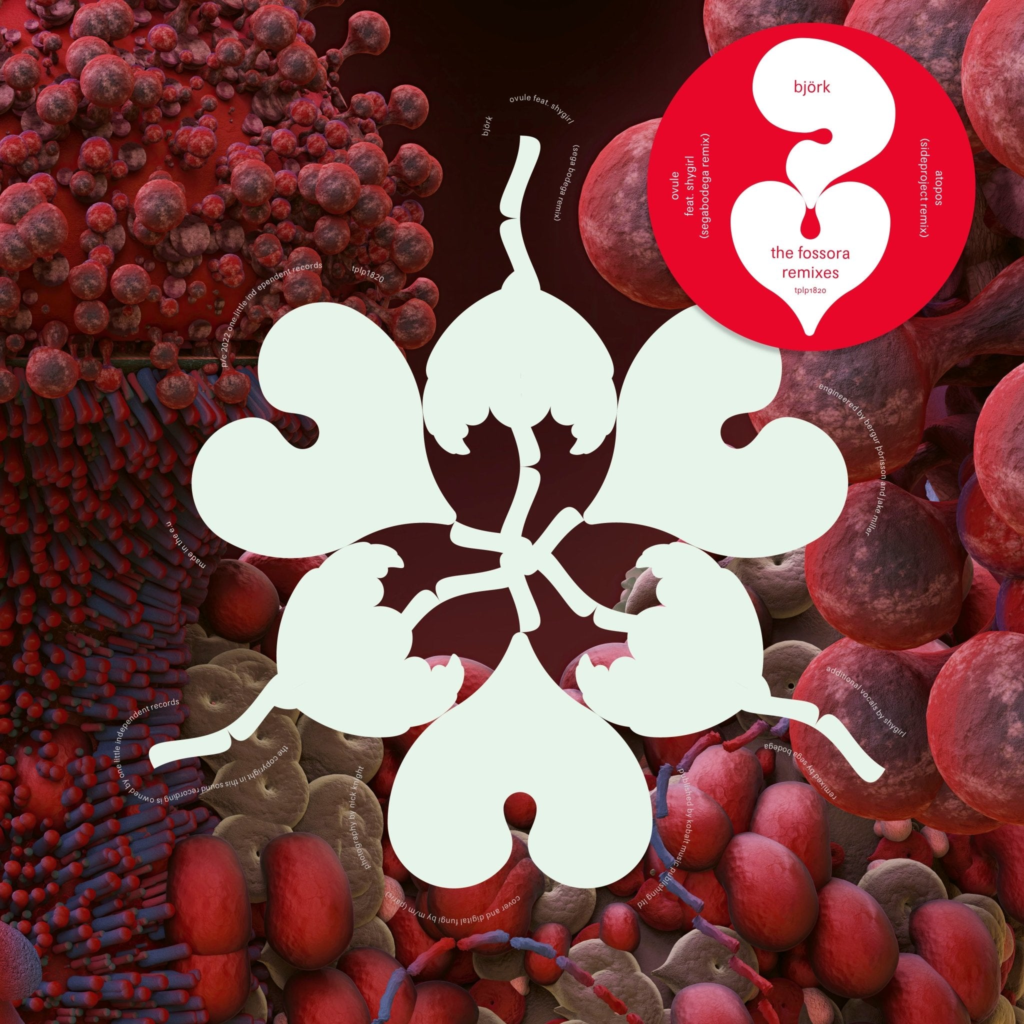 Björk - Ovule (Sega Bodega Remix) / Atopos (sideproject Remix) - 33RPM