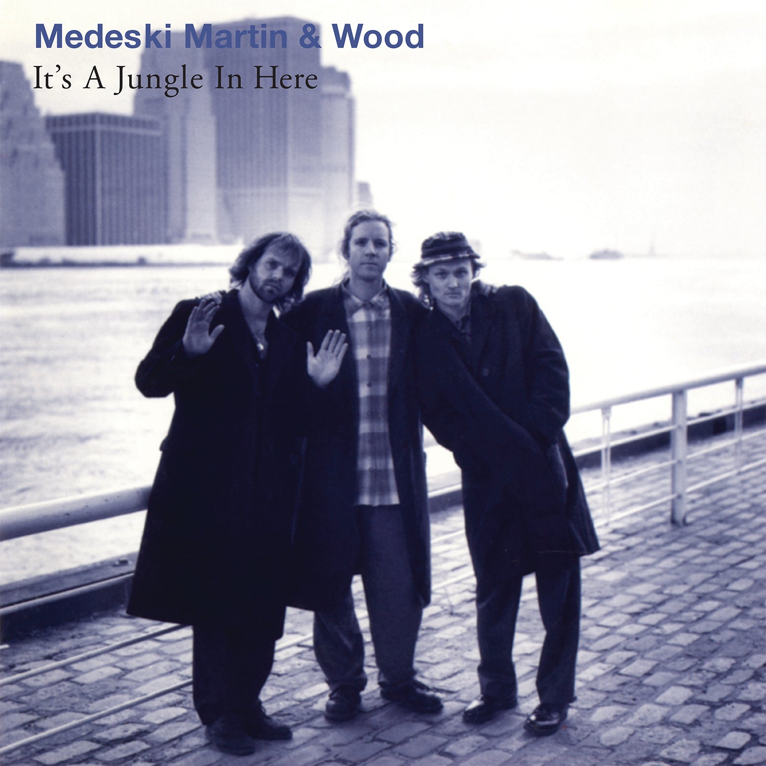 Medeski, Martin & Wood - It's a Jungle In Here (30th Anniversary) - 33RPM