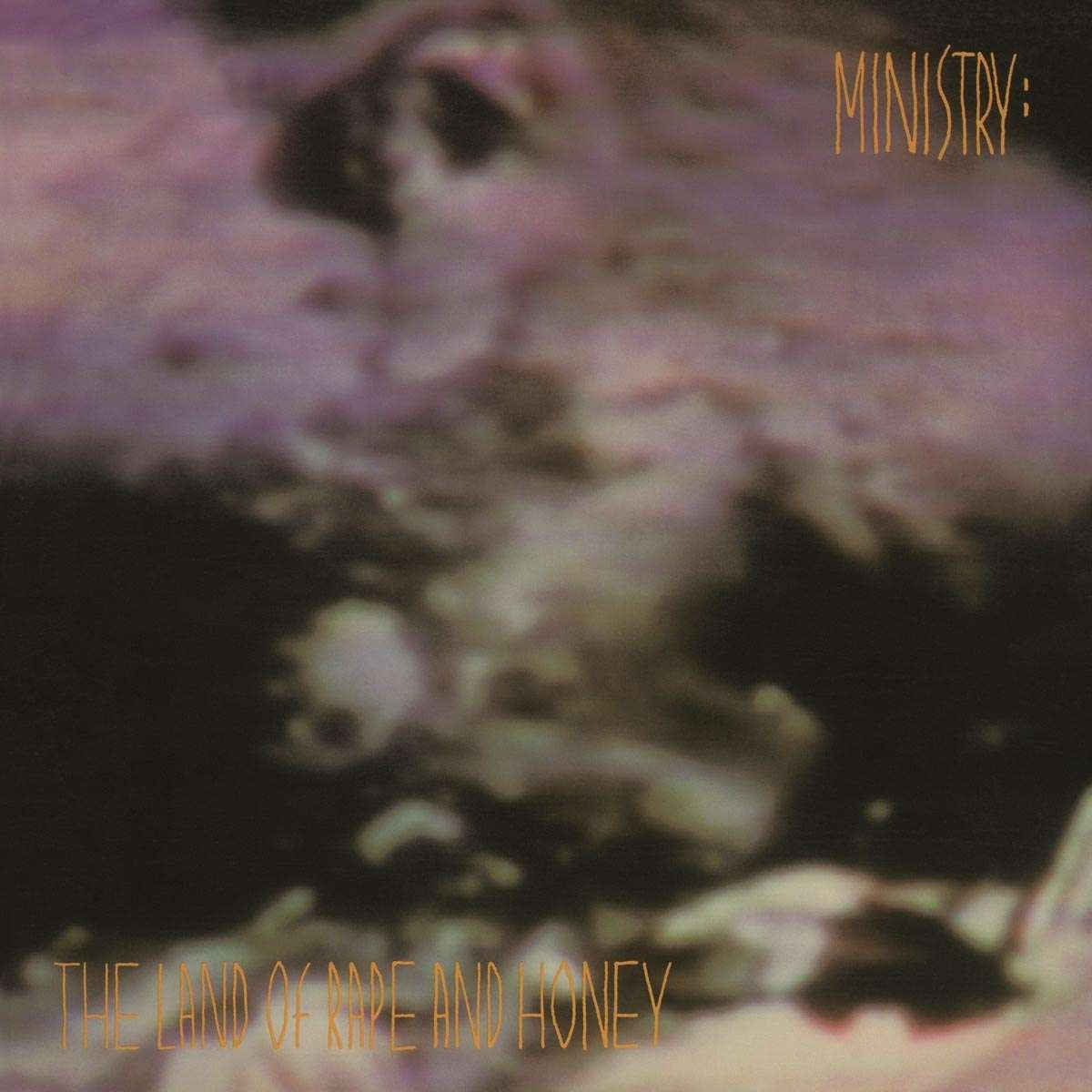Ministry - The Land Of Rape And Honey - 33RPM