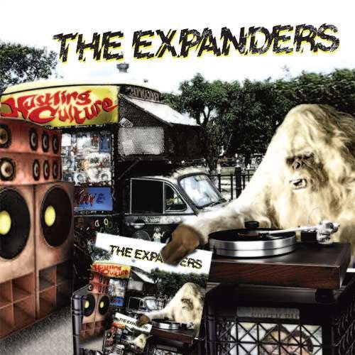 The Expanders - Hustling Culture - 33RPM